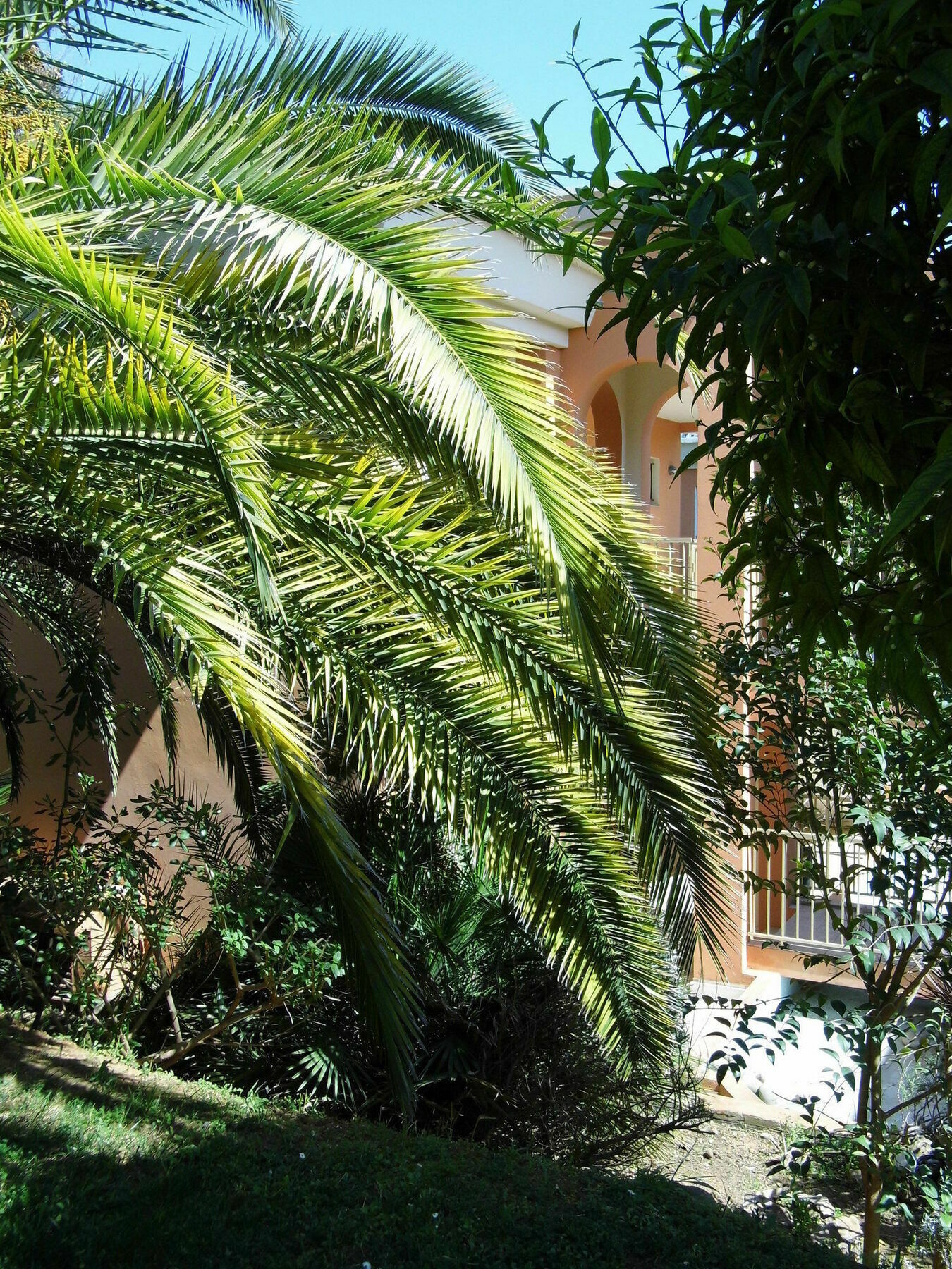 Anis Hotel Niza Exterior foto