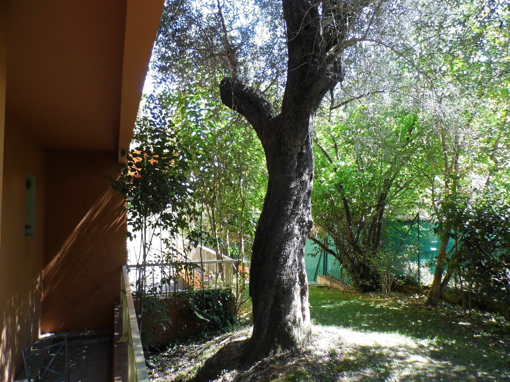 Anis Hotel Niza Exterior foto